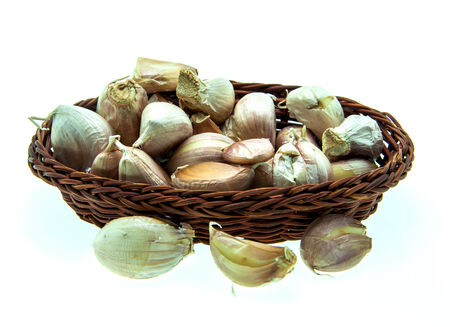 Garlicの写真素材