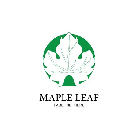 Maple leaf vector illustration design templateのイラスト素材