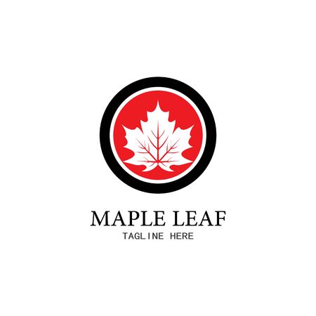 Maple leaf vector illustration design templateのイラスト素材