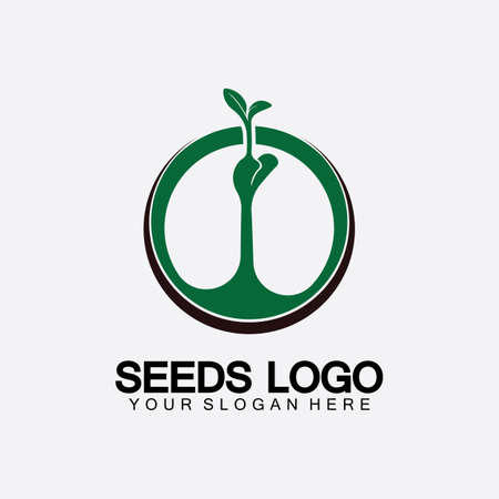 Plant Seeds Logo Concept Template Vector.growing seed logo.Seed grow Vector logo illustration design templateのイラスト素材
