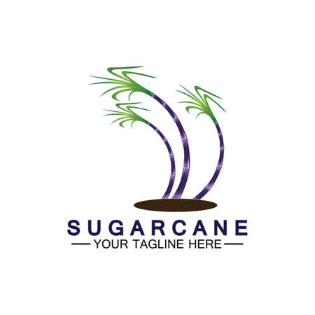 Sugar cane logo icon symbol vector illustration design templateのイラスト素材