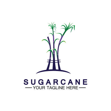 Sugar cane logo icon symbol vector illustration design templateのイラスト素材
