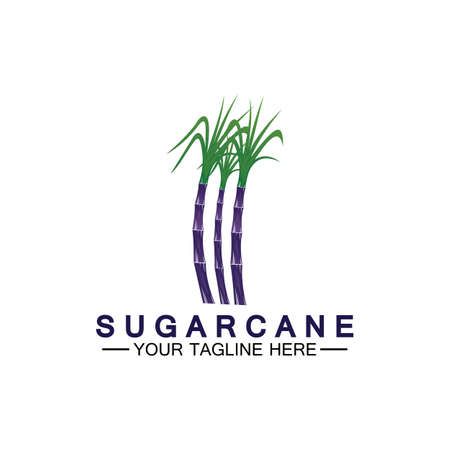Sugar cane logo icon symbol vector illustration design templateのイラスト素材