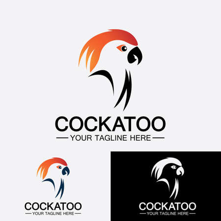 Cockatoo Parrot Bird logo design vector templateのイラスト素材