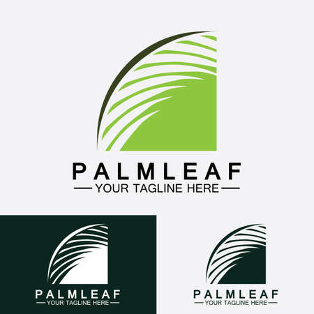 Tropical Palm leaf logo vector design templateのイラスト素材
