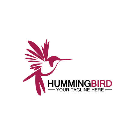 Hummingbird logo design vector templateのイラスト素材