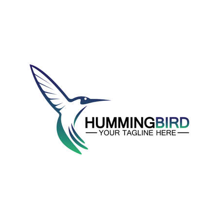 Hummingbird logo design vector templateのイラスト素材