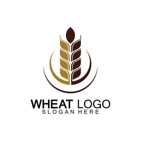Agriculture Wheat template vector icon designのイラスト素材