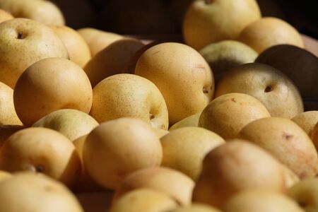 Pile of Pearsの写真素材