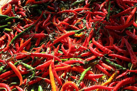 A lot of red capsicumsの写真素材