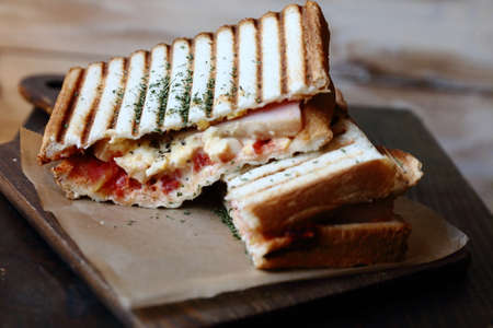 Hot hot sandwichの写真素材