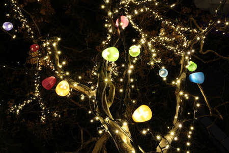 Illumination of street treesの写真素材