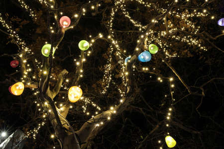 Illumination of street treesの写真素材