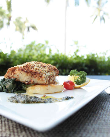 Snapper filletの写真素材