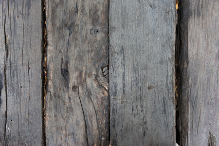 texture of bark wood use as natural backgroundの写真素材