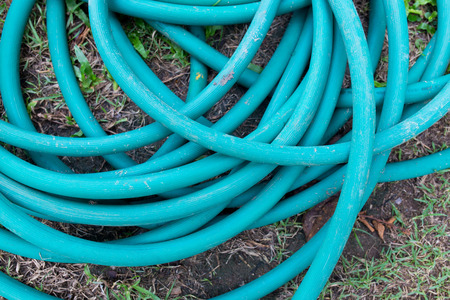 Rubber tube for watering plants in the garden.の写真素材