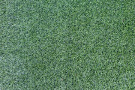 Grass Background.の写真素材
