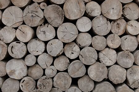Stacked Logs Texture, Natural Backgroundの写真素材