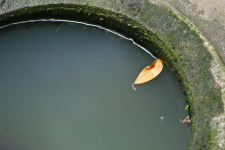 the water in jarの写真素材