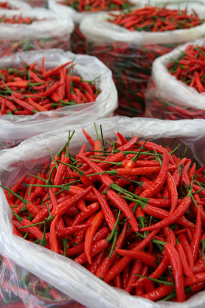 Fresh produce of chilli ready for saleの写真素材