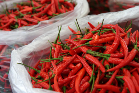 Fresh produce of chilli