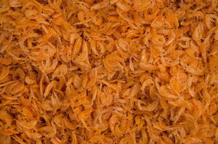 Dried shrimp being sale in fresh marketの写真素材