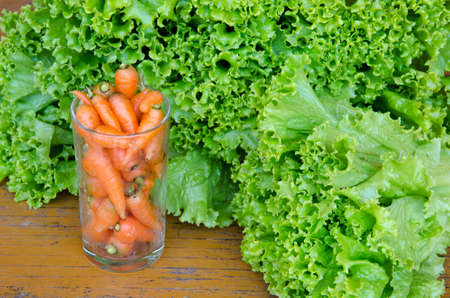 Carrot and lettuceの写真素材