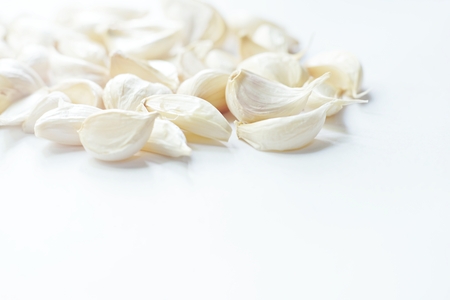 Fresh raw garlic, copy spaceの写真素材