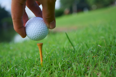 Golf ball and tee on golf green course background, copy spaceの写真素材