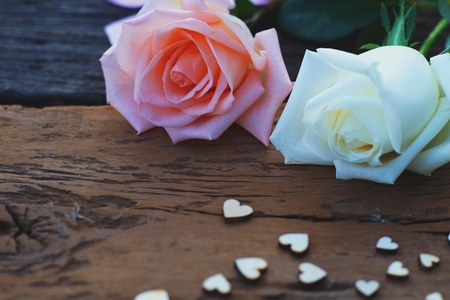 Beautiful white and pink fresh rose flower and mini heart on wooden background, soft tone valentine concept, copy spaceの写真素材