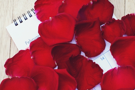 Calender cover by saturate elegant red rose petal showing 14 Fabruary, Valentine's day planning concept, copy spaceの写真素材