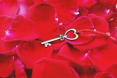 Heart shape key with house keyring on vibrant elegant red petal of rose background, romantic...