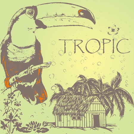 grunge toukan on the tropic palm beach in rainのイラスト素材