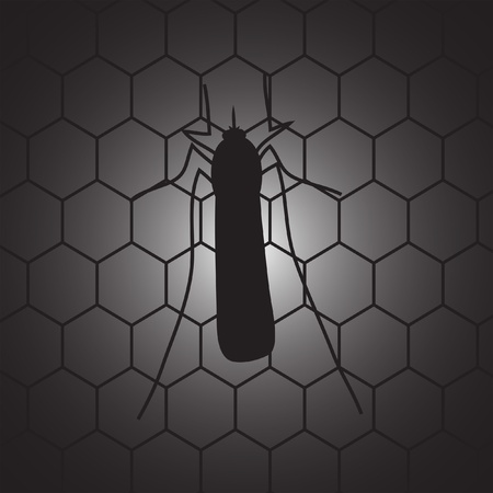 Mosquito on the mosquito netのイラスト素材