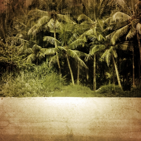 beach backgroundの写真素材