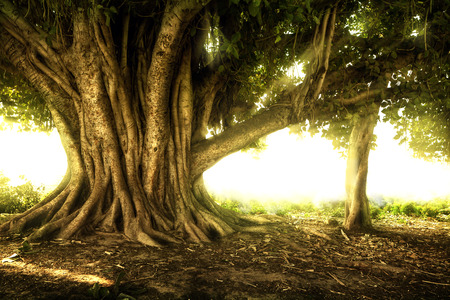 Indian backgroundの写真素材