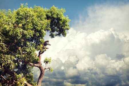 abstract backgroundの写真素材