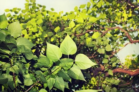 abstract backgroundの写真素材