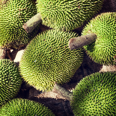 jackfruit background in vintage style
