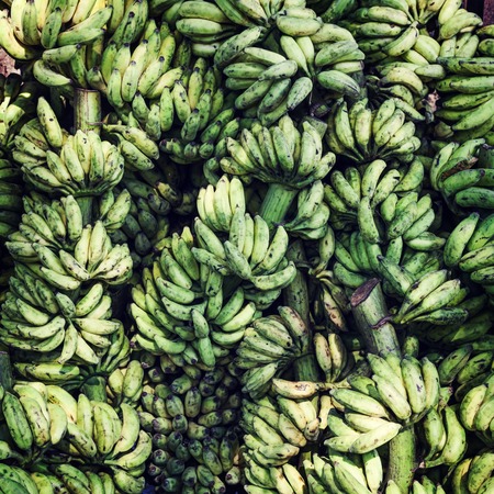 banana background in vintage styleの写真素材