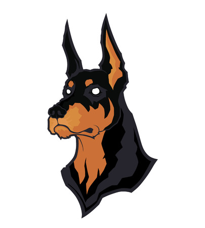 Doberman Head Mascotのイラスト素材 ストックフォト 写真素材のstock Foto ストックドットフォト