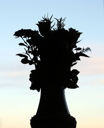 Silhouette of flower vase on evening sky backgroundの写真素材
