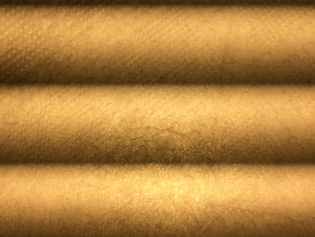 Strange photo of paper napkinの写真素材