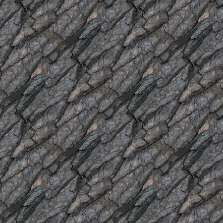 Seamless pattern with fragment of broken tree barque for design or backgroundの写真素材