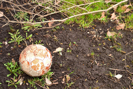 Abstract image look for designers with wet ball on the spring grassの写真素材