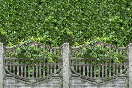 Abstract horizontal seamless pattern for designers with ancient stone hedge in the green spring floraの写真素材