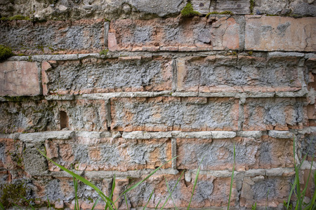 Abstract image texture for designers with fragment of old wall from red broken bricks and leafs and grassの写真素材