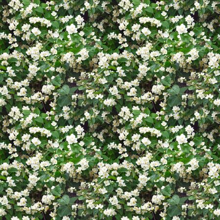 Seamless texture from leaves and flowers.の写真素材