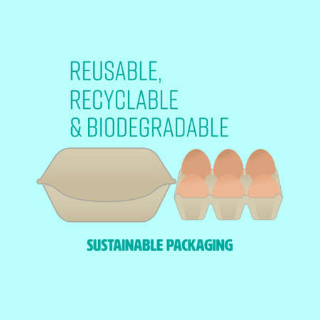 Cardboard egg box and tray with text representing sustainable packaging. Vector illustration.