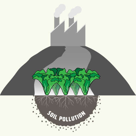 Vegetable garden showing roots in soil, representing industrial activity causing soil pollution and impact to food safety. Vector illustration.のイラスト素材